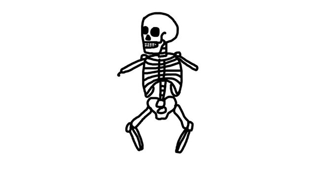 Skeleton Sketch and 2d animation