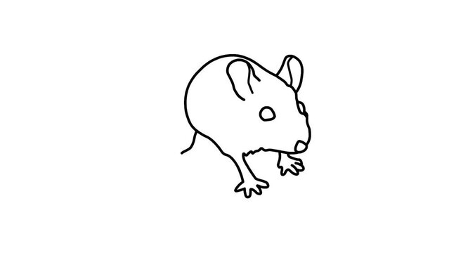 rat Sketch and 2d animation