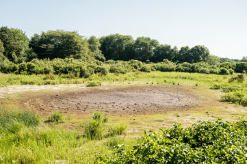 Fototapeta na wymiar Sweetened Water Pond, Edgartown