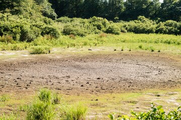 Sweetened Water Pond, Edgartown