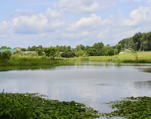 A view of the pond in the countryside on a sunny day.
