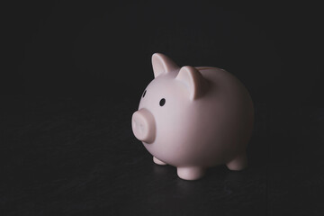 Accumulation of money. Storing coins in a piggy bank. Interest investment.