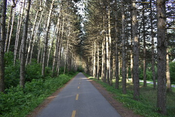 The bike path in summer, Victoriaville, Québec, Canada