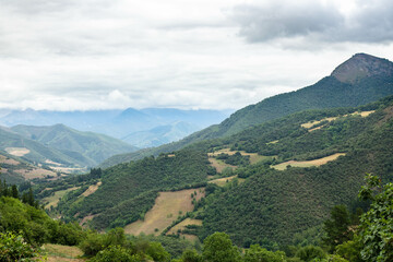 A view to a valley between mountains coved with thick forest and white clouds