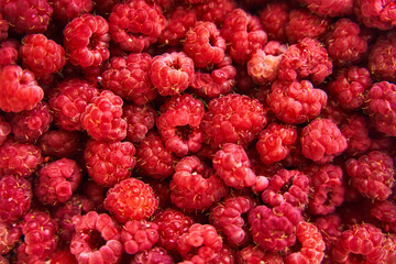 Ripe red raspberries close up. Raspberries background