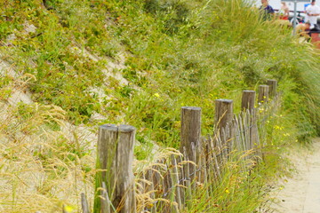 A fence on the way to the beach of Rockanje in south netherland in Voorne Putten