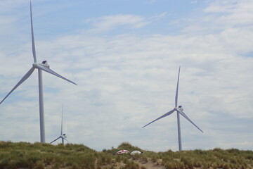 Some windmills in the netherland at the northsea