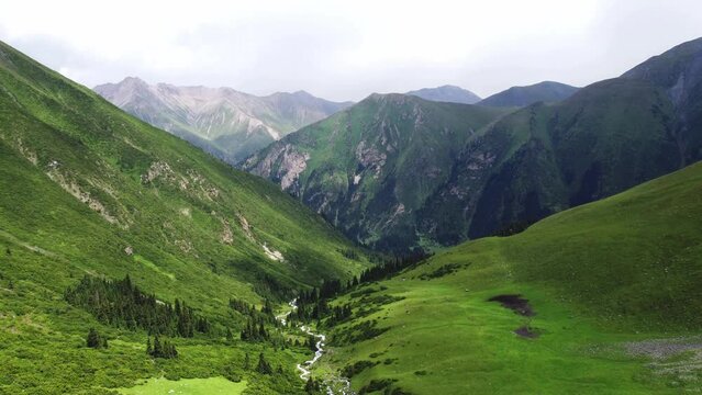 Altyn-Arashan Valley in Issyk Kul Region in Kyrgyzstan. Drone footage 4K. Slow epic motion. Green fields in valley and forest, mountains around.