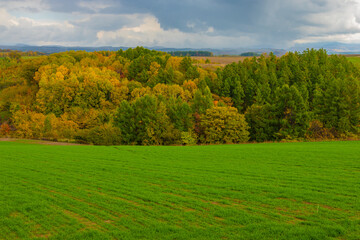 美しい北海道の秋の景色