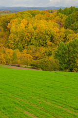美しい北海道の秋の景色