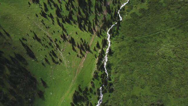 Altyn-Arashan Valley in Issyk Kul Region in Kyrgyzstan. Drone footage 4K. Slow epic motion. Green fields in valley and forest, mountains around.