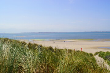 Eine Düne am Strand an der Nordsee in Holland