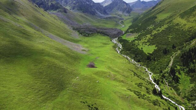 Altyn-Arashan Valley in Issyk Kul Region in Kyrgyzstan. Drone footage 4K. Slow epic motion. Green fields in valley and forest, mountains around.
