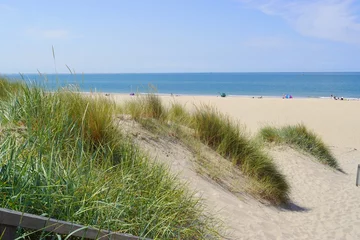 Selbstklebende Fototapete Nordsee, Niederlande Sanddünen und Gras am Strand mit der Nordsee im Hintergrund in den Niederlanden