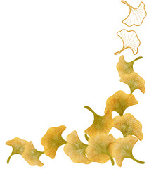 Fototapeta premium Ginkgo biloba watercolor with transparent background