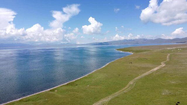 Mans ride on horses near to Song-Kul lake in Kyrgyzstan. Drone footage 4K.