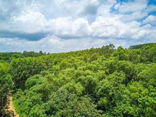 Fototapeta na wymiar Aerial photography of wild field plants and blue sky and white clouds in Guangxi, China