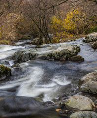 Stunning vibrant landscape image of Aira Force Upper Falls in Lake District during colorful Autumn showing