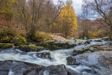 Stunning vibrant landscape image of Aira Force Upper Falls in Lake District during colorful Autumn showing