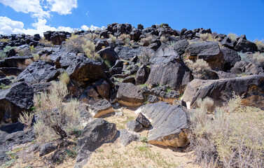 Some of the four hundred petroglyphs in Piedras Marcadas Canyon, part of New Mexico's Petroglyph...