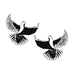 vector illustration of two doves concept