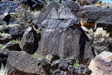 Some of the four hundred petroglyphs in Piedras Marcadas Canyon, part of New Mexico's Petroglyph...