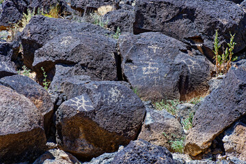 Some of the four hundred petroglyphs in Piedras Marcadas Canyon, part of New Mexico's Petroglyph National Monument.
