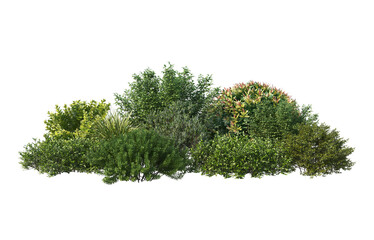 Shrubs and flower on a transparent background  © jomphon