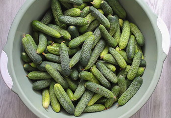 Lots of green cucumbers in a round big cup.
