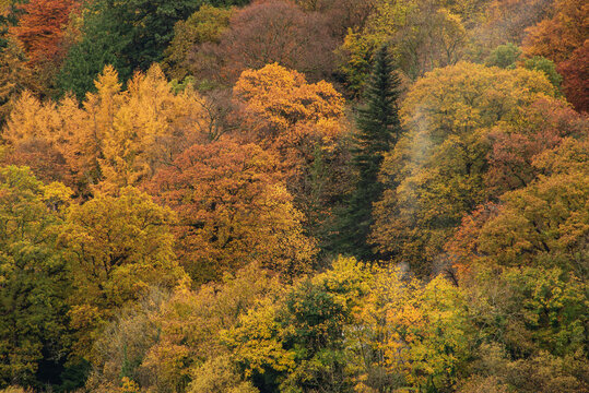 Stunning Lake District landscape image of vibrant Autumn woodlands with mountain ranges in background