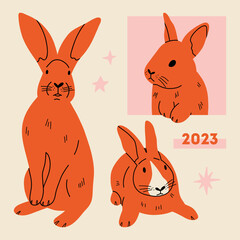 set of funny rabbits