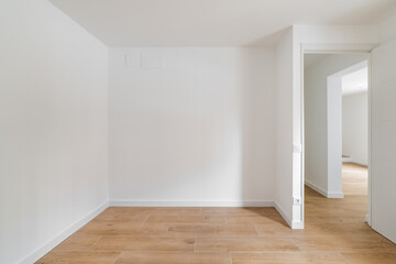 Empty room with laminate flooring and newly painted white wall in refurbished apartment with corridor leading to other rooms. Repair and construction concept.