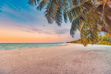 Beautiful panoramic sunset tropical paradise beach. Tranquil summer vacation or holiday landscape. Tropical sunset beach seaside palm calm sea panorama exotic nature view inspirational seascape scenic