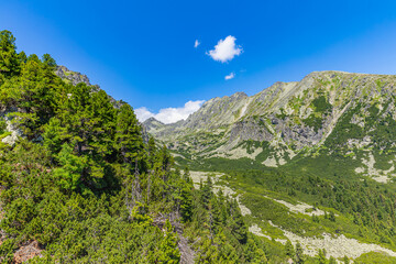 Fototapeta na wymiar Summer Tatra Mountains, Slovakia. Panoramic summer view of High Tatra Mountains, valley, green pass with green meadows and spruce forest in the foreground, cloudy sky. Freedom travel adventure view 