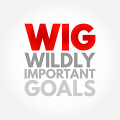 WIG Wildly Important Goals - highly important goals that must be achieved or no other goal matters, acronym text concept background