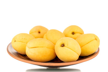 Several bright yellow juicy pineapple apricots in a pottery, macro, isolated on a white background.