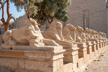 Fototapeta premium Temple at Karnak, Temple of Amon Ra, Egypt