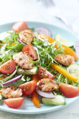 Healthy Salad with Chicken Breast, Cherry Tomatoes, Cucumber, Orange Pepper, Endive and Red Onion. Close up.	