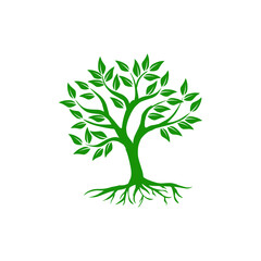 Green Tree with Roots. Vector Illustration.