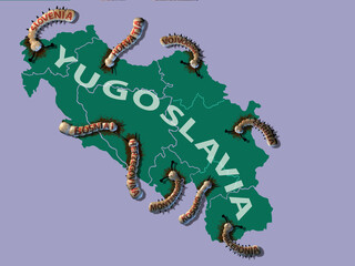 Illustration of a map of Yugoslavia eating worms. A symbol of the conflict in the Balkans, Serbia and Kosovo.