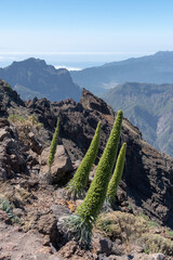 Vistas desde la cima Roque de los muchahos, Islas canarias, La Palma 