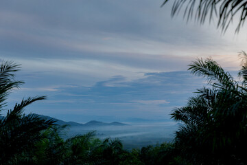 Fototapeta na wymiar Sea of mist, Rain forest in (Khao Luang Nakhon Si Thammarat, Thailand)