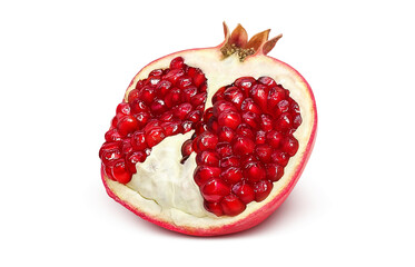 ざくろ 柘榴 イラスト リアル セット