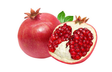 ざくろ 柘榴 イラスト リアル セット