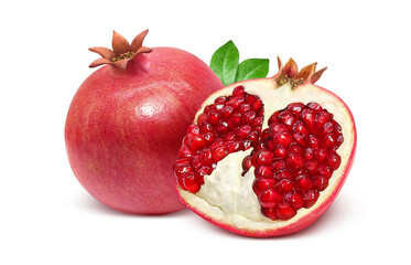 ざくろ 柘榴 イラスト リアル セット