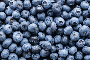 Blueberries scattered on a dark background. Ripe blueberries for a healthy breakfast. Concept seasonal berries. Healthy vegetarian food. Top view