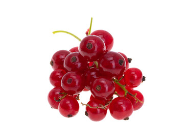 currant isolated