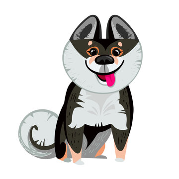 Vector cartoon cute funny dog. Breed shikoku