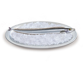 sabre, poisson, plateau, glace pilé, fraîcheur, frais, pêche, aliment, mer, animal, ailette, sain, queue, fond blanc, attraper, repas, cuisiner, plat, viande