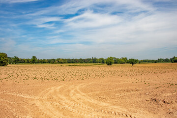 Fototapeta na wymiar Ploughed fields in the summertime.